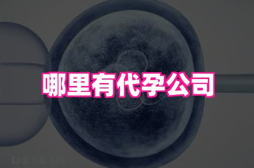 69助孕网 1