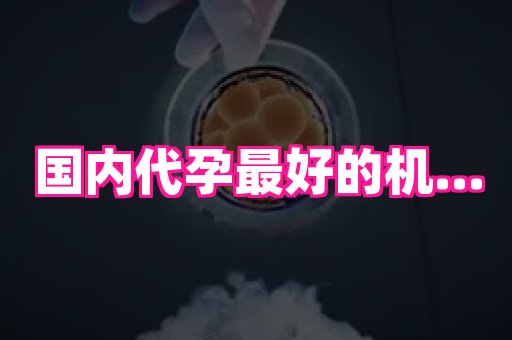 69助孕网 2