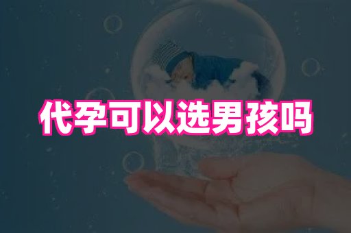 69助孕网 4